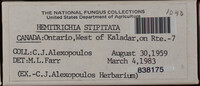 Image Associated With the Occurence
